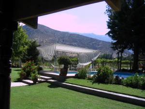 Not quite the view from her Santiago office, but one of the vineyard beyond the pool (photo ©2010 Allyson Latta)